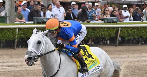 white abarrio horse.